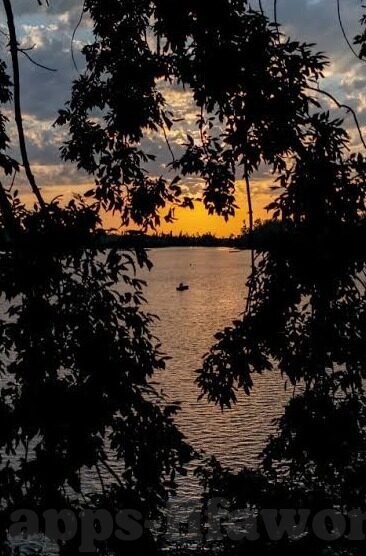 乐鱼体育游戏币怎么用-乐鱼体育，游戏币应用的多元化实践
